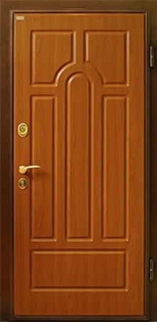 Дверь ДВ-МДФ-23